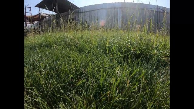 Не покупайте газонокосилку пока не посмотрите это видео. Makita ELM3320 СЛОМАЛАСЬ ПОЧТИ СРАЗУ. смотреть онлайн