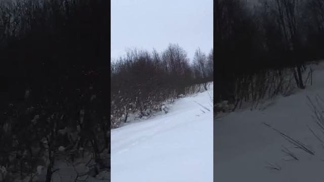 16 февраля 2017 г.снегоход буран 4т. 4тд  русская механика смотреть онлайн