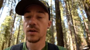 California Trip-Dispersed Camping in a National Forest-Giant Sequoia!