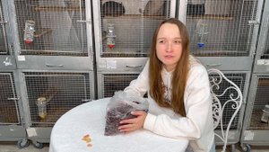Как кормить шиншиллу? | Что нельзя давать шиншилле? | Добавки для шиншилл