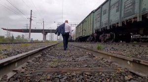 Жизнь моя вольная