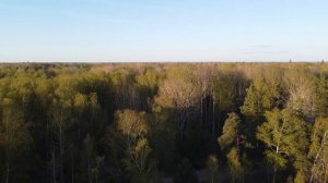 Овинец(Псковская) Озеро2023