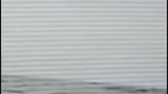 Топ 2 динозавра снятих на камеру + видео с яйцом динозавра смотреть онлайн