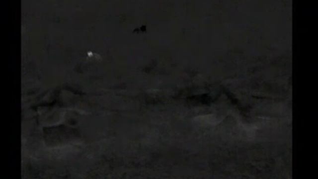 Партизан смотреть онлайн