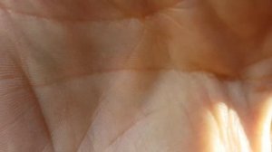 Расход топлива на Меркури 50ЕО