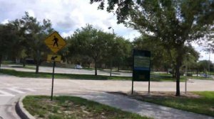 США 🇺🇸 Вуз образование Университет восточной флориды USF Tampa Florida University of South Florida