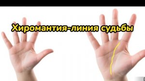 Хиромантия – Гадание по руке для начинающих|Линия жизни на руке|линия сердца|линия брака|линия дете