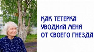 Как тетерка уводила меня от своего гнезда