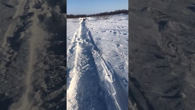 Снегоход и рыхлый снег смотреть онлайн