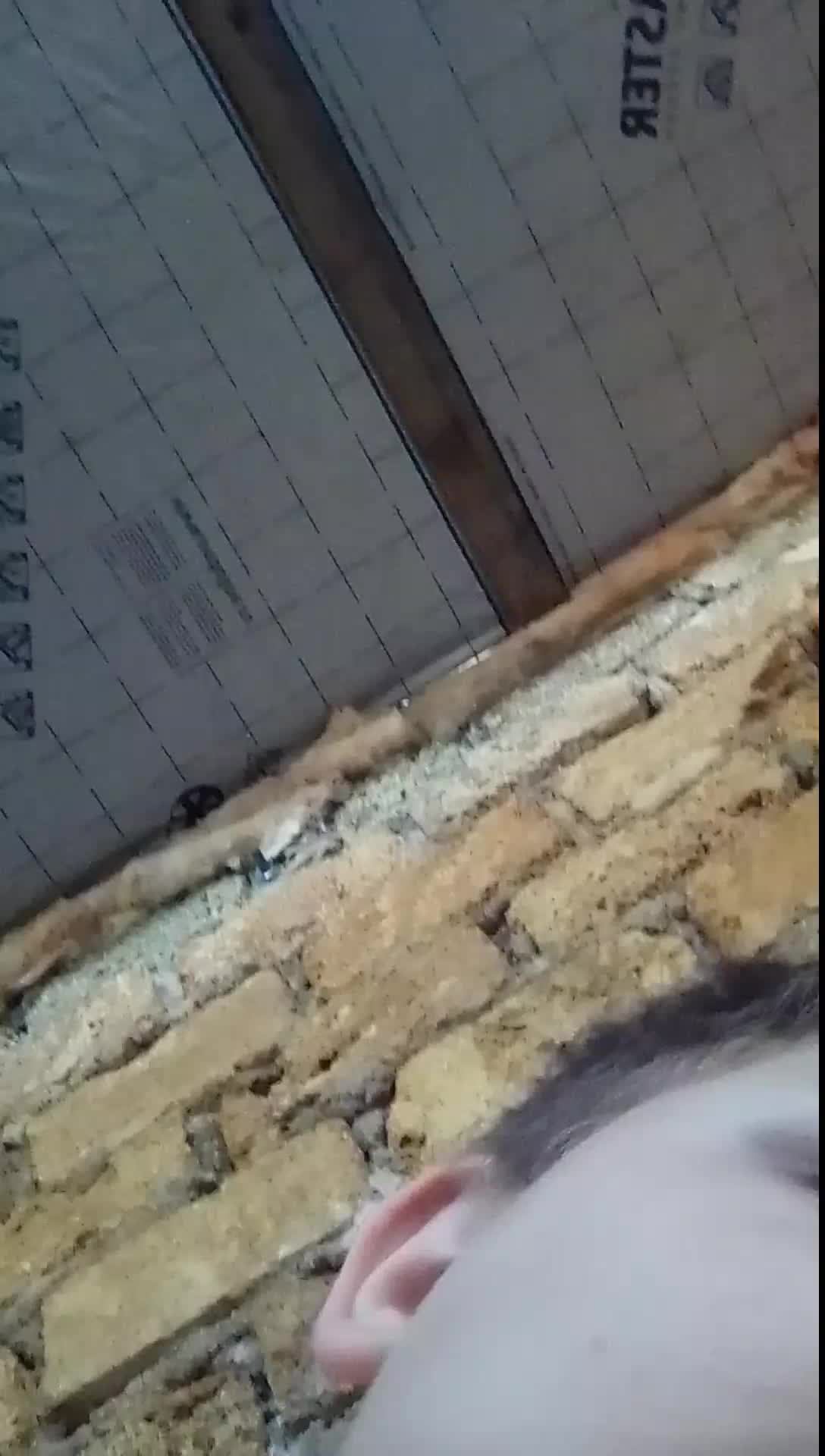 стрим по андертел у