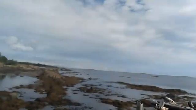 рабочеостровск.белое море после отлива.