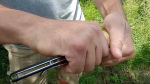 Как безопасно очистить молодые грецкие орехи? Как вырезать сердцевину у зеленого грецкого ореха?