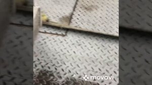 Греется Камминз 2,8 ГАЗель. Одна из причин.