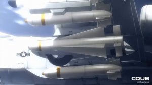 Когда дело доходит до убийства, любой вид меркнет перед человеческой рассой