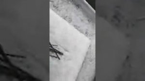 На могиле Вадима Глухова (06.01.2023)