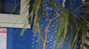 Экскурсия - офис Окна Щёлково