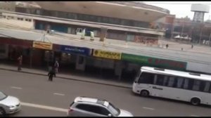 В Краснодаре из цирка сбежала обезьяна Ричард