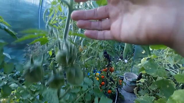 Де Барао смотреть онлайн