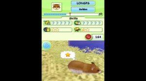 All Longplays HD Live Stream Petz - Hamsterz Superstarz Full Longplays Nintendo DS