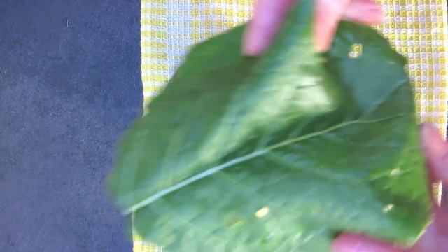 Все знакомые просят рецепт ЭТИ Помидоры съедаются первыми! Маринованные помидоры на зиму и баклажан смотреть онлайн