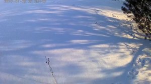 охота в Удмуртии.