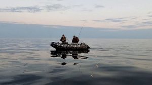 СУДАК НА ТРОЛЛИНГ ЛЕТОМ НА БЕЛОМ ОЗЕРЕ