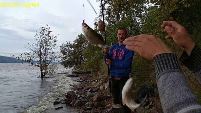 Дуплет на донную снасть..avi