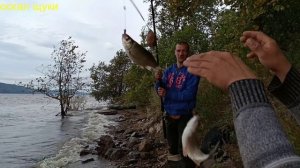 Дуплет на донную снасть..avi