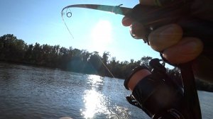 Это СОН ? Тонна РЫБА под НАМИ ! Вот ЭТО МЫ с СЫНОМ ПОПАЛИ на РЫБУ!!!