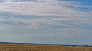 Завёз почтовых спортивных голубей на дистанцию/Carrier pigeons have gone a distance