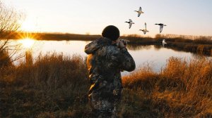 Отличная вечерняя охота на утку 2021. Мр155