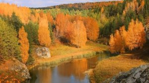 Юрий Рыбчинский -  Кукушка