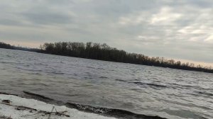 Суррогатная мать