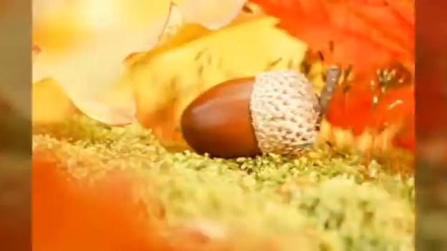 Клип про осень смотреть онлайн