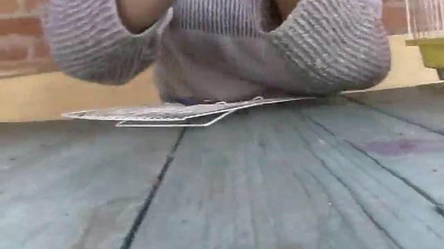 Шок хомячиха родила прям в видео .