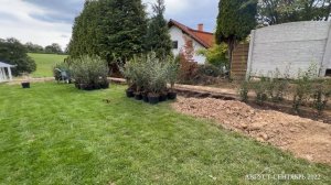 Живая изгородь. Выравниваем участок и делаем живую изгородь из бирючины. Обживаем дом в Германии #5