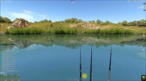 Головастик лягушки бык, ловля головастиков в игре Трофейная рыбалка 2