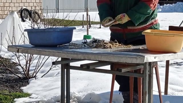 РЕЦЕПТ ПРИГОТОВЛЕНИЯ ХРЕНА.