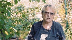 Как правильно подготовить яблоню к зиме