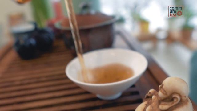 ЛУН БИН ШУ ПУЭР | от DaoChai - чайный обзор - выпуск № 2 смотреть онлайн