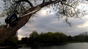 Прыжок с дерева на тарзанке