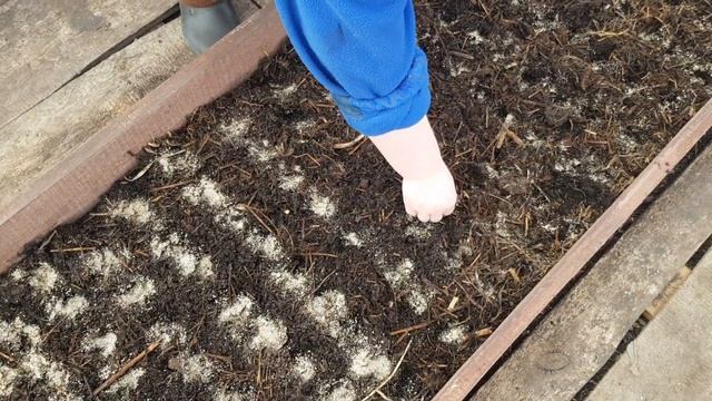 Редис Черриэт. Посадка 9 марта 2019 (часть 1) смотреть онлайн