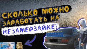 Бизнес с минимальными вложениями / Сколько можно заработать на торговле незамерзайкой