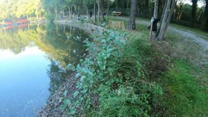 ПОПЛА ПОППЕР косит рыбу! Форелевая рыбалка ультралайт на платнике в Германии