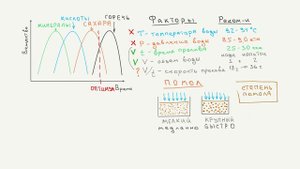 Теория кофе 1.Экстракция. Как не запороть эспрессо.