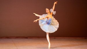Арабеск 2008 | Анжелина Воронцова | Принцесса Флорина. Спящая красавица