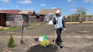 НОВЫЕ КУСТАРНИКИ ДЛЯ ОЗЕЛЕНЕНИЯ УЧАСТКА/ВЫСОКИЕ ГРЯДКИ/МАЙСКИЙ УРОЖАЙ В ТЕПЛИЦЕ