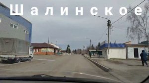 Породистые курицы несушки покупка и заселение в курятник порода доминант