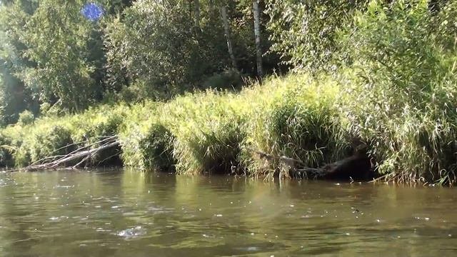 Перекаты, перекаты...