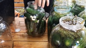 СОЛИТЕ ОГУРЦЫ ТОЛЬКО ТАК! Легко и незаметно